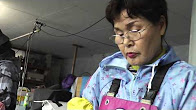 真珠の玉出し作業の様子【映像】